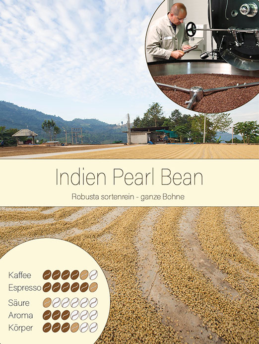 Indien Parchment Pearl Bean - Robusta sortenrein Indien Parchment Pearl Bean - Robusta sortenrein